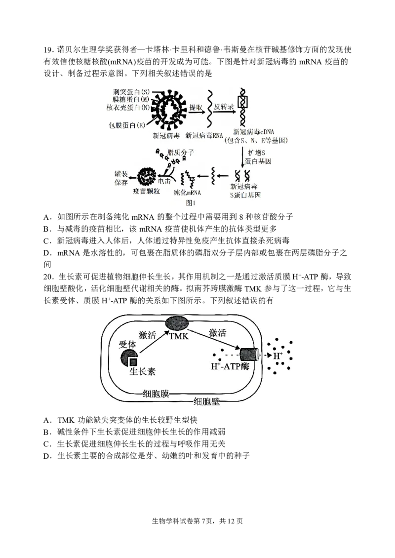 三模试卷_2025年12月_251204辽宁省沈阳市东北育才学校2026届高三上学期第三次模拟考试_生物