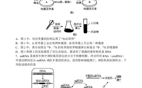 三模试卷_2025年12月_251204辽宁省沈阳市东北育才学校2026届高三上学期第三次模拟考试_生物
