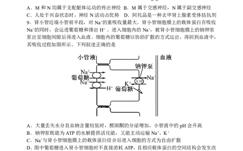三模试卷_2025年12月_251204辽宁省沈阳市东北育才学校2026届高三上学期第三次模拟考试_生物