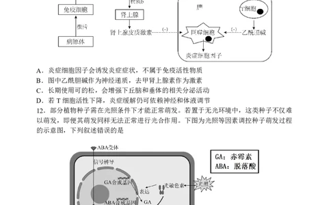 三模试卷_2025年12月_251204辽宁省沈阳市东北育才学校2026届高三上学期第三次模拟考试_生物