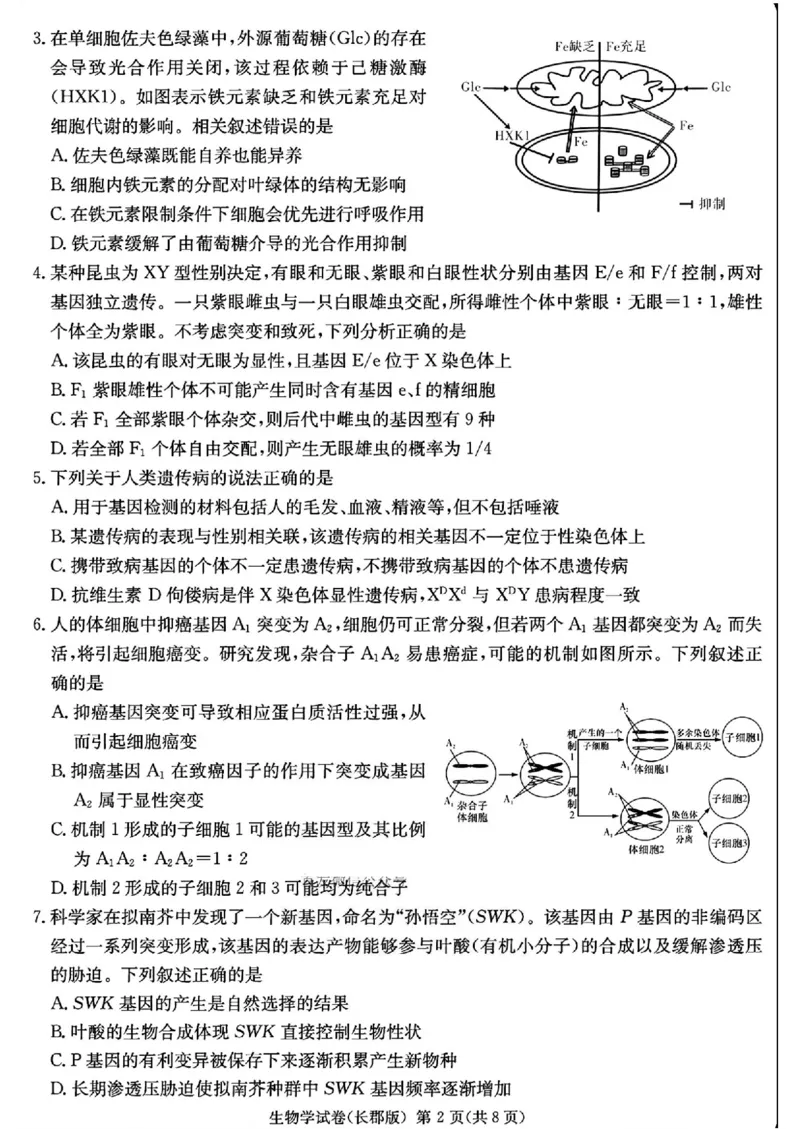 湖南省长沙市长郡中学2025届高三下学期模拟考试（二）生物试卷（含答案）_2025年6月_250601湖南省长沙市长郡中学2024-2025学年高三下学期模拟（二）暨月考卷（十）（全科）