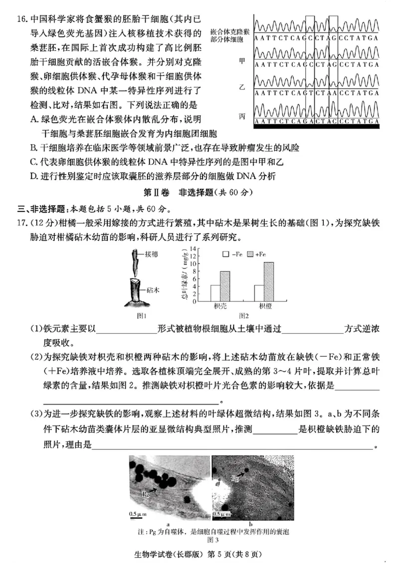 湖南省长沙市长郡中学2025届高三下学期模拟考试（二）生物试卷（含答案）_2025年6月_250601湖南省长沙市长郡中学2024-2025学年高三下学期模拟（二）暨月考卷（十）（全科）
