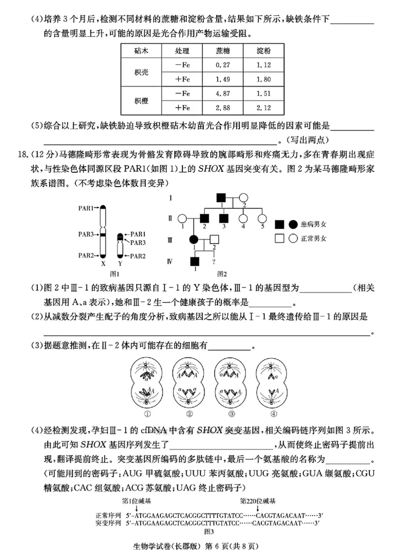 湖南省长沙市长郡中学2025届高三下学期模拟考试（二）生物试卷（含答案）_2025年6月_250601湖南省长沙市长郡中学2024-2025学年高三下学期模拟（二）暨月考卷（十）（全科）