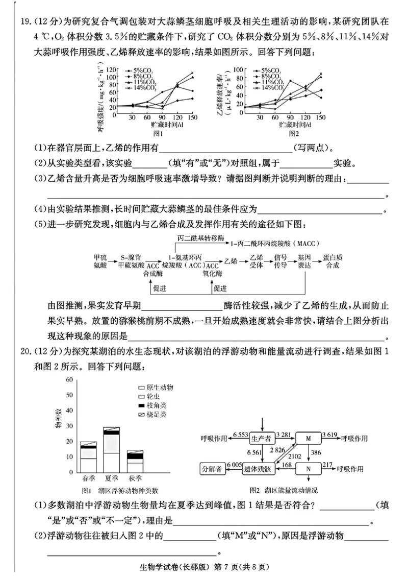 湖南省长沙市长郡中学2025届高三下学期模拟考试（二）生物试卷（含答案）_2025年6月_250601湖南省长沙市长郡中学2024-2025学年高三下学期模拟（二）暨月考卷（十）（全科）