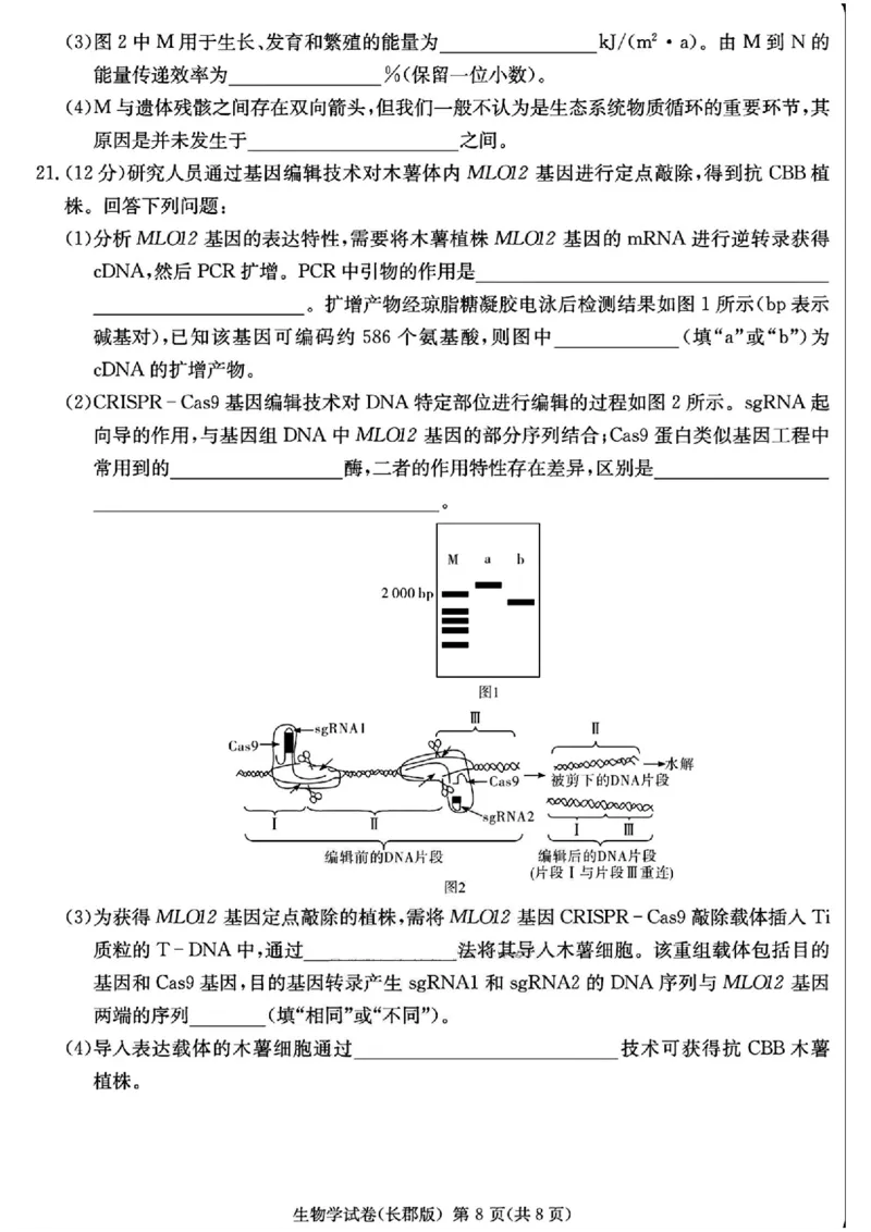 湖南省长沙市长郡中学2025届高三下学期模拟考试（二）生物试卷（含答案）_2025年6月_250601湖南省长沙市长郡中学2024-2025学年高三下学期模拟（二）暨月考卷（十）（全科）