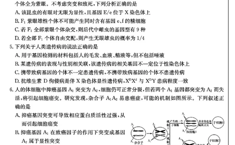 湖南省长沙市长郡中学2025届高三下学期模拟考试（二）生物试卷（含答案）_2025年6月_250601湖南省长沙市长郡中学2024-2025学年高三下学期模拟（二）暨月考卷（十）（全科）