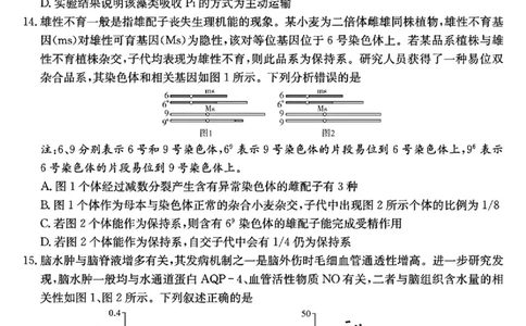湖南省长沙市长郡中学2025届高三下学期模拟考试（二）生物试卷（含答案）_2025年6月_250601湖南省长沙市长郡中学2024-2025学年高三下学期模拟（二）暨月考卷（十）（全科）
