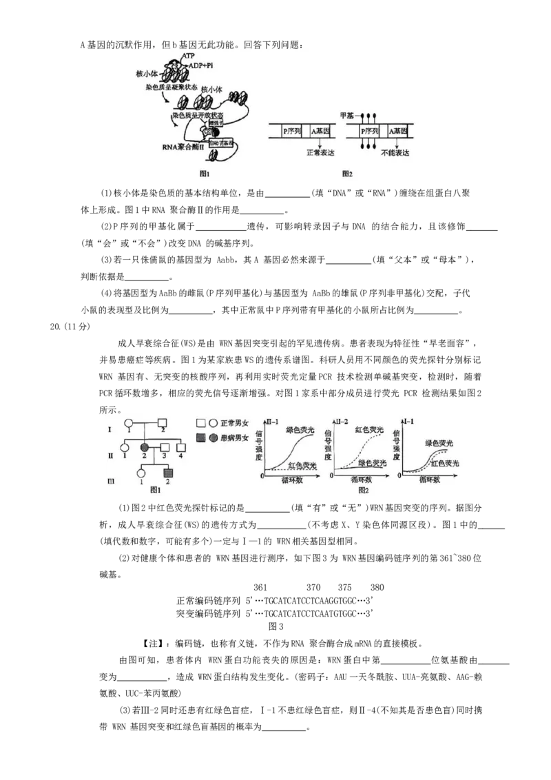 安徽省鼎尖名校2025-2026学年高三上学期第六届逐梦星辰联考生物试卷（含答案）_2025年12月_251203安徽省鼎尖名校2025-2026学年高三上学期第六届逐梦星辰11月联考（全科）