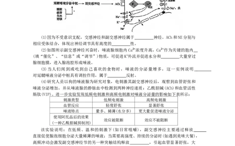 安徽省鼎尖名校2025-2026学年高三上学期第六届逐梦星辰联考生物试卷（含答案）_2025年12月_251203安徽省鼎尖名校2025-2026学年高三上学期第六届逐梦星辰11月联考（全科）