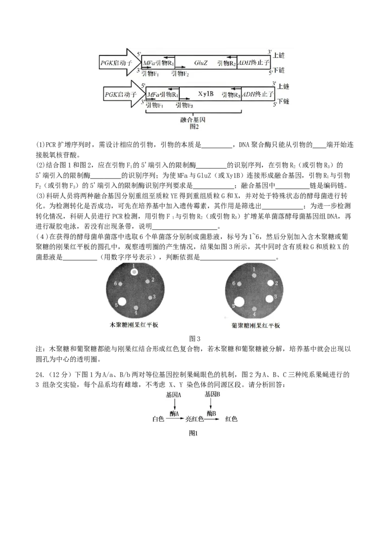 江苏省无锡市澄宜六校联盟2025-2026学年高三上学期12月学情调研生物试题（含答案）_2025年12月_251230江苏省无锡市澄宜六校联盟2025-2026学年高三上学期12月学情调研（全科）