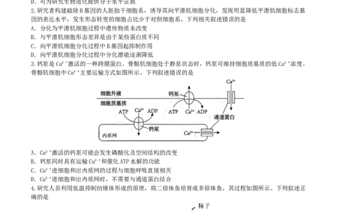 江苏省无锡市澄宜六校联盟2025-2026学年高三上学期12月学情调研生物试题（含答案）_2025年12月_251230江苏省无锡市澄宜六校联盟2025-2026学年高三上学期12月学情调研（全科）