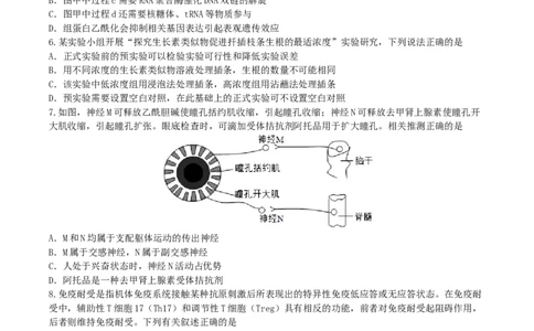 江苏省无锡市澄宜六校联盟2025-2026学年高三上学期12月学情调研生物试题（含答案）_2025年12月_251230江苏省无锡市澄宜六校联盟2025-2026学年高三上学期12月学情调研（全科）