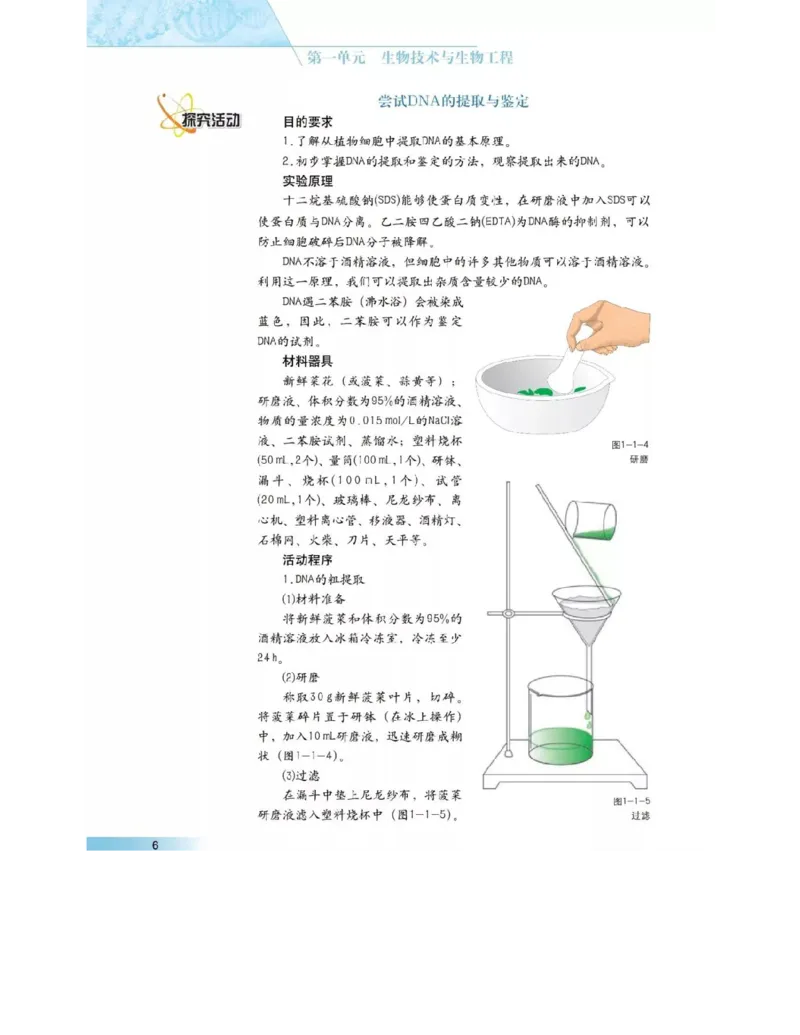沪科版高中生物选修3《现代生物科技专题》电子课本_4-教培资料-26年最新资料-同步更新_初中高中教资_03科三专项（进去保存报考的学科即可）_112025高中科目（全）电子教材
