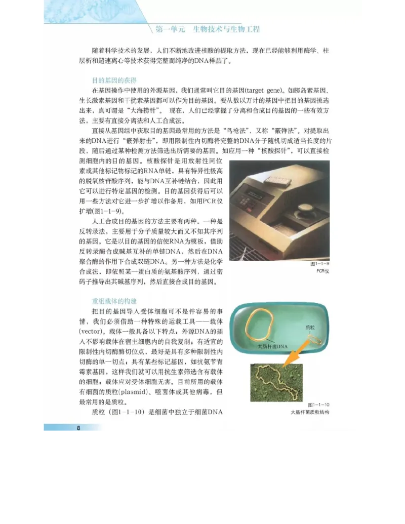 沪科版高中生物选修3《现代生物科技专题》电子课本_4-教培资料-26年最新资料-同步更新_初中高中教资_03科三专项（进去保存报考的学科即可）_112025高中科目（全）电子教材