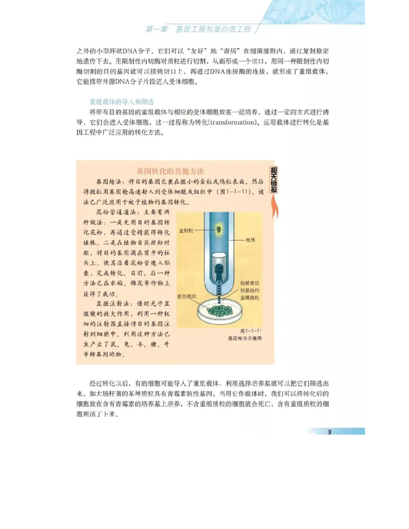 沪科版高中生物选修3《现代生物科技专题》电子课本_4-教培资料-26年最新资料-同步更新_初中高中教资_03科三专项（进去保存报考的学科即可）_112025高中科目（全）电子教材