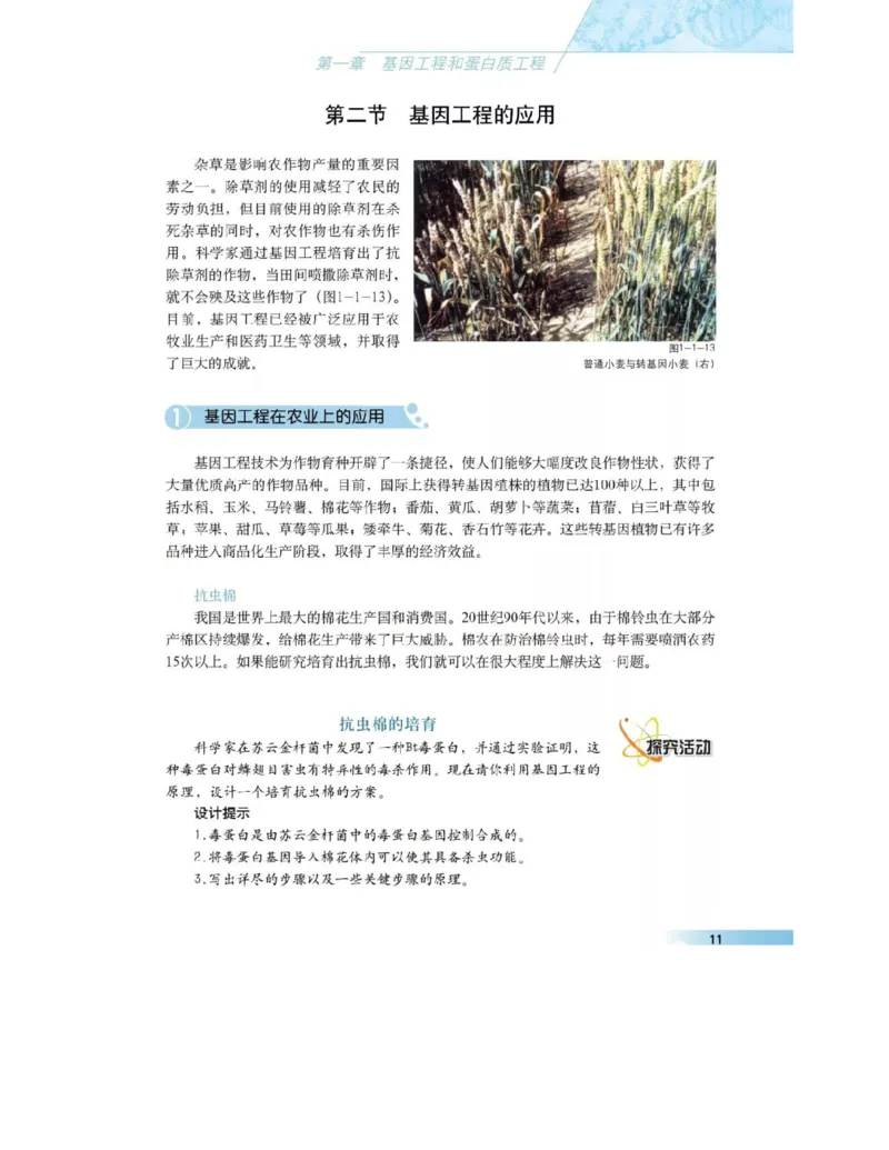 沪科版高中生物选修3《现代生物科技专题》电子课本_4-教培资料-26年最新资料-同步更新_初中高中教资_03科三专项（进去保存报考的学科即可）_112025高中科目（全）电子教材