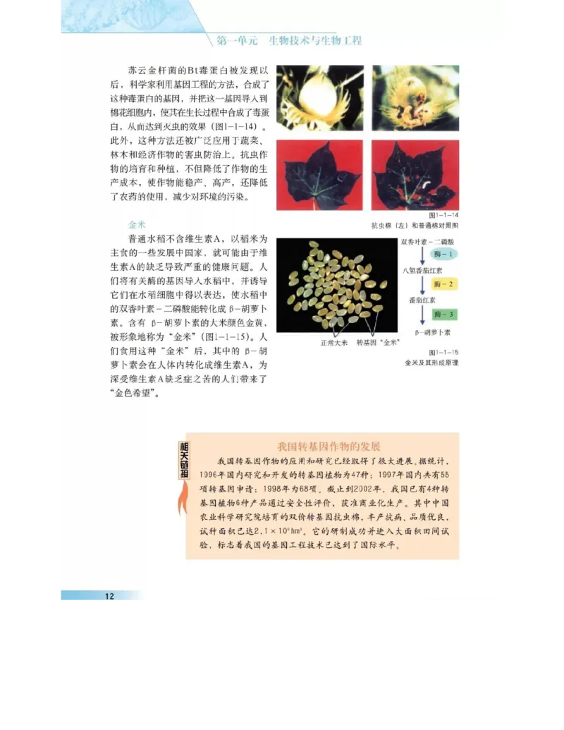 沪科版高中生物选修3《现代生物科技专题》电子课本_4-教培资料-26年最新资料-同步更新_初中高中教资_03科三专项（进去保存报考的学科即可）_112025高中科目（全）电子教材