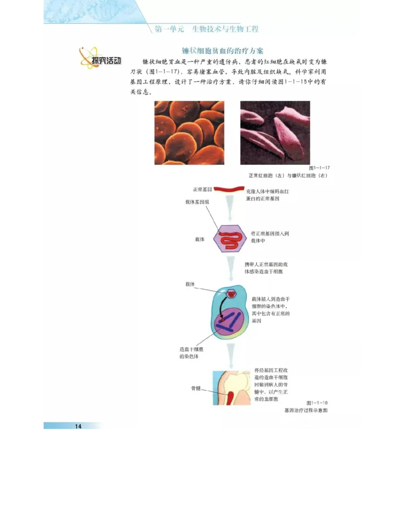 沪科版高中生物选修3《现代生物科技专题》电子课本_4-教培资料-26年最新资料-同步更新_初中高中教资_03科三专项（进去保存报考的学科即可）_112025高中科目（全）电子教材