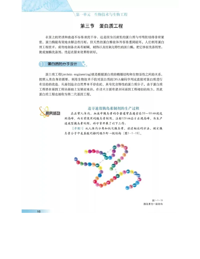 沪科版高中生物选修3《现代生物科技专题》电子课本_4-教培资料-26年最新资料-同步更新_初中高中教资_03科三专项（进去保存报考的学科即可）_112025高中科目（全）电子教材