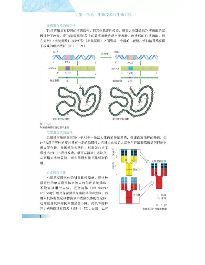 沪科版高中生物选修3《现代生物科技专题》电子课本_4-教培资料-26年最新资料-同步更新_初中高中教资_03科三专项（进去保存报考的学科即可）_112025高中科目（全）电子教材