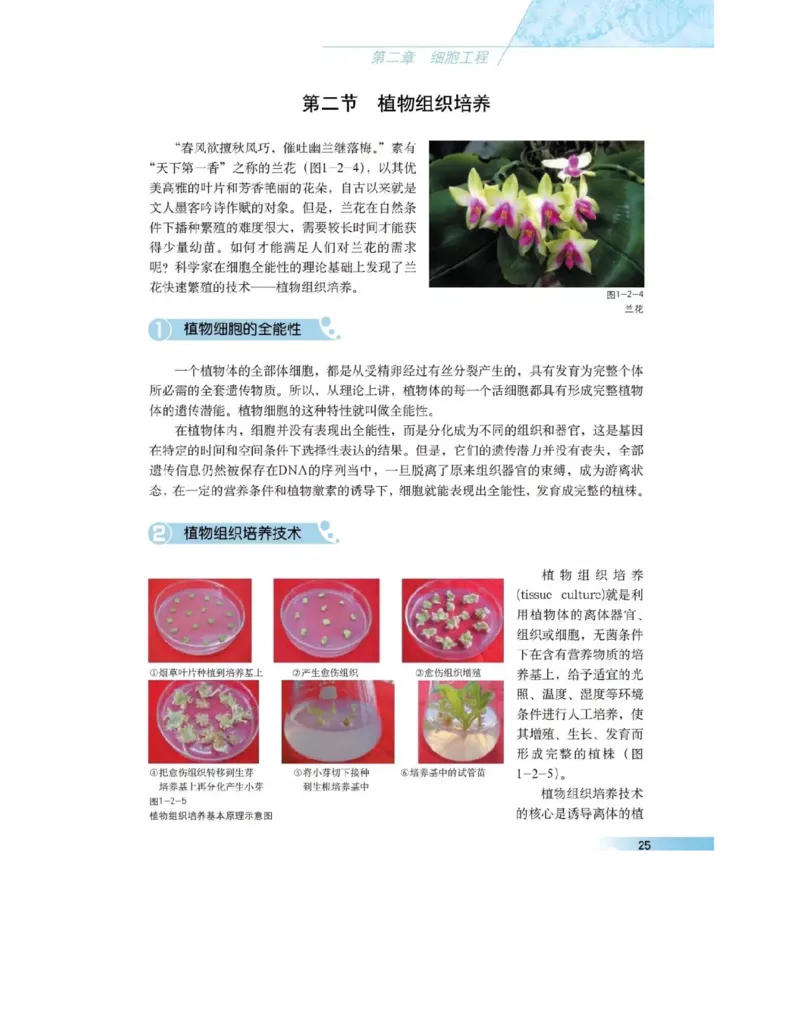 沪科版高中生物选修3《现代生物科技专题》电子课本_4-教培资料-26年最新资料-同步更新_初中高中教资_03科三专项（进去保存报考的学科即可）_112025高中科目（全）电子教材