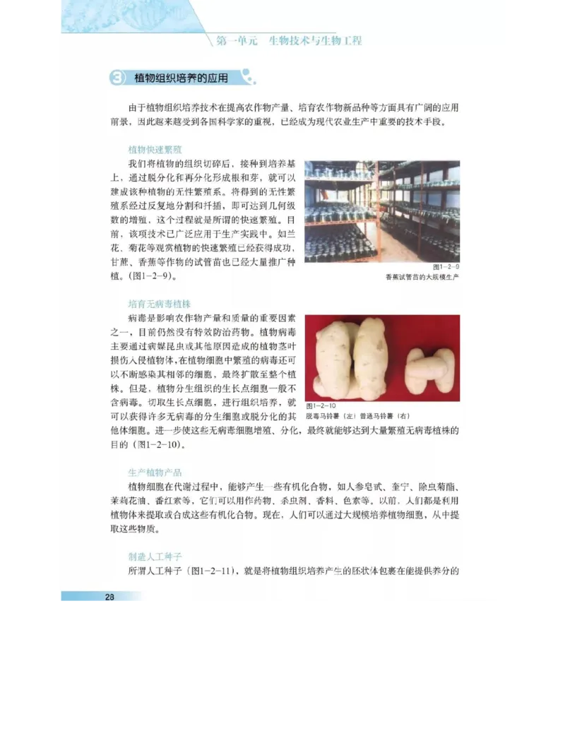 沪科版高中生物选修3《现代生物科技专题》电子课本_4-教培资料-26年最新资料-同步更新_初中高中教资_03科三专项（进去保存报考的学科即可）_112025高中科目（全）电子教材