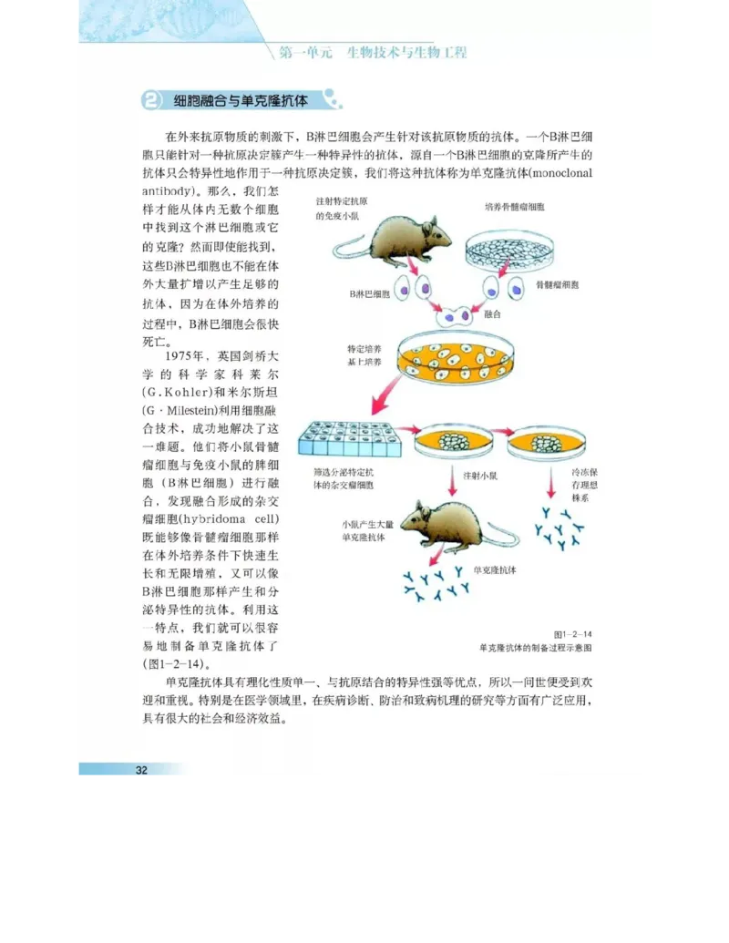 沪科版高中生物选修3《现代生物科技专题》电子课本_4-教培资料-26年最新资料-同步更新_初中高中教资_03科三专项（进去保存报考的学科即可）_112025高中科目（全）电子教材