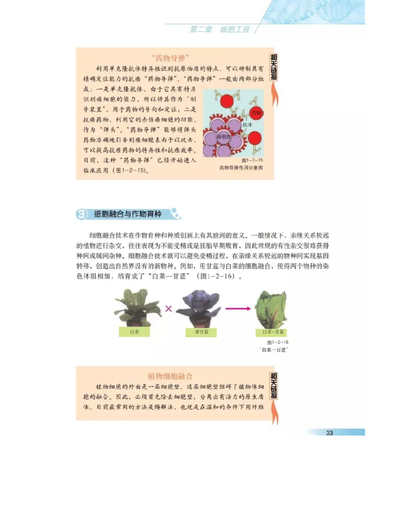 沪科版高中生物选修3《现代生物科技专题》电子课本_4-教培资料-26年最新资料-同步更新_初中高中教资_03科三专项（进去保存报考的学科即可）_112025高中科目（全）电子教材