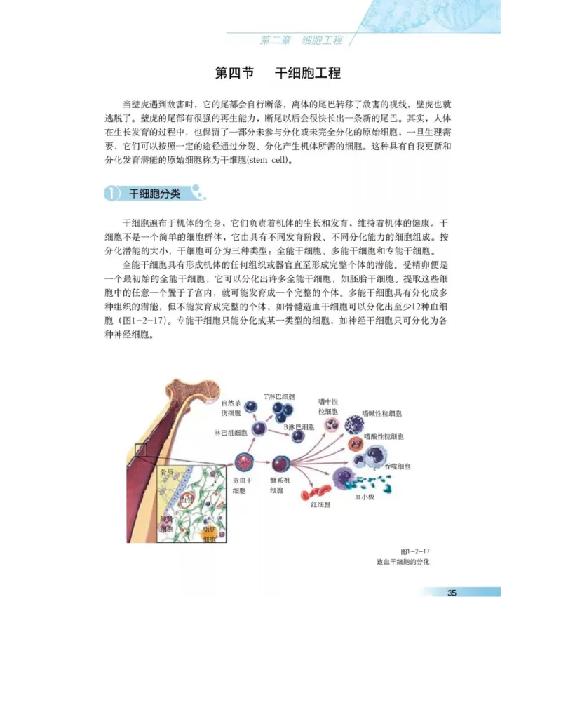沪科版高中生物选修3《现代生物科技专题》电子课本_4-教培资料-26年最新资料-同步更新_初中高中教资_03科三专项（进去保存报考的学科即可）_112025高中科目（全）电子教材