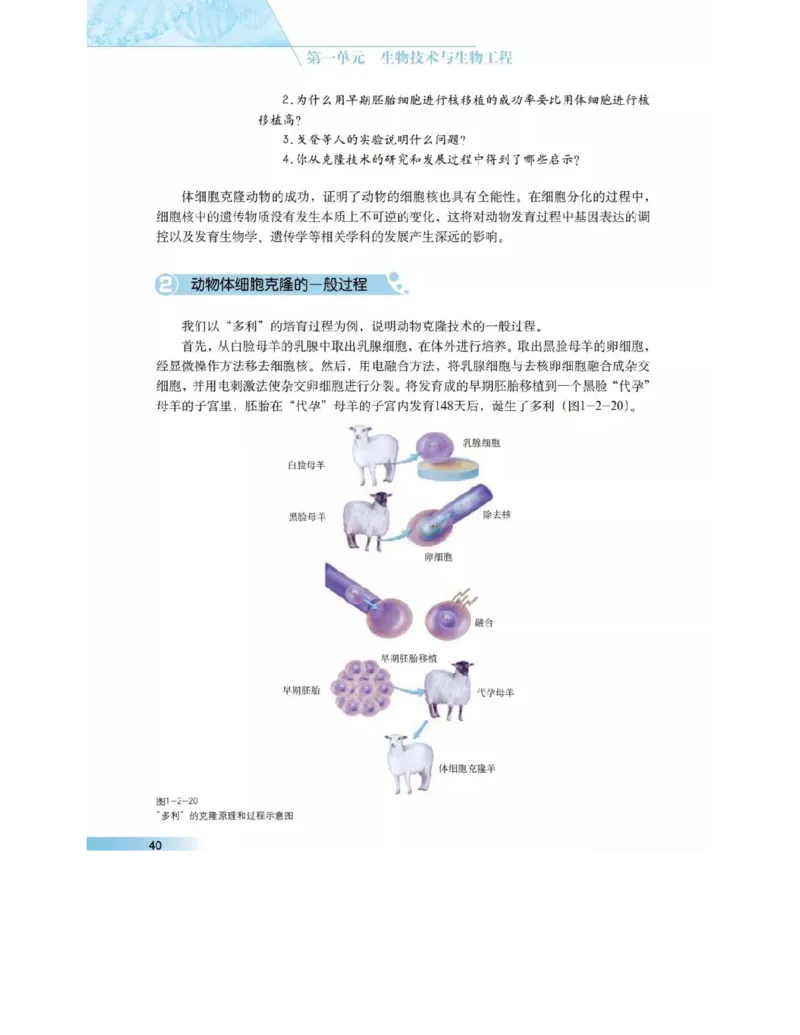 沪科版高中生物选修3《现代生物科技专题》电子课本_4-教培资料-26年最新资料-同步更新_初中高中教资_03科三专项（进去保存报考的学科即可）_112025高中科目（全）电子教材