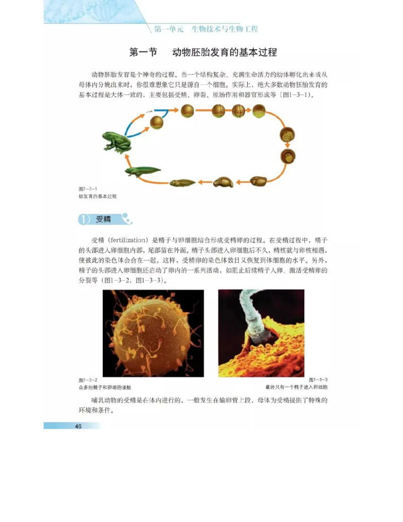 沪科版高中生物选修3《现代生物科技专题》电子课本_4-教培资料-26年最新资料-同步更新_初中高中教资_03科三专项（进去保存报考的学科即可）_112025高中科目（全）电子教材