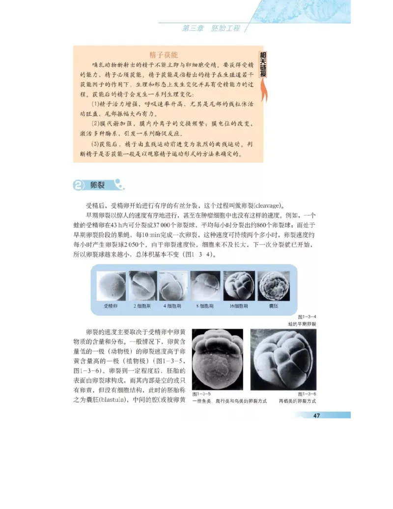 沪科版高中生物选修3《现代生物科技专题》电子课本_4-教培资料-26年最新资料-同步更新_初中高中教资_03科三专项（进去保存报考的学科即可）_112025高中科目（全）电子教材