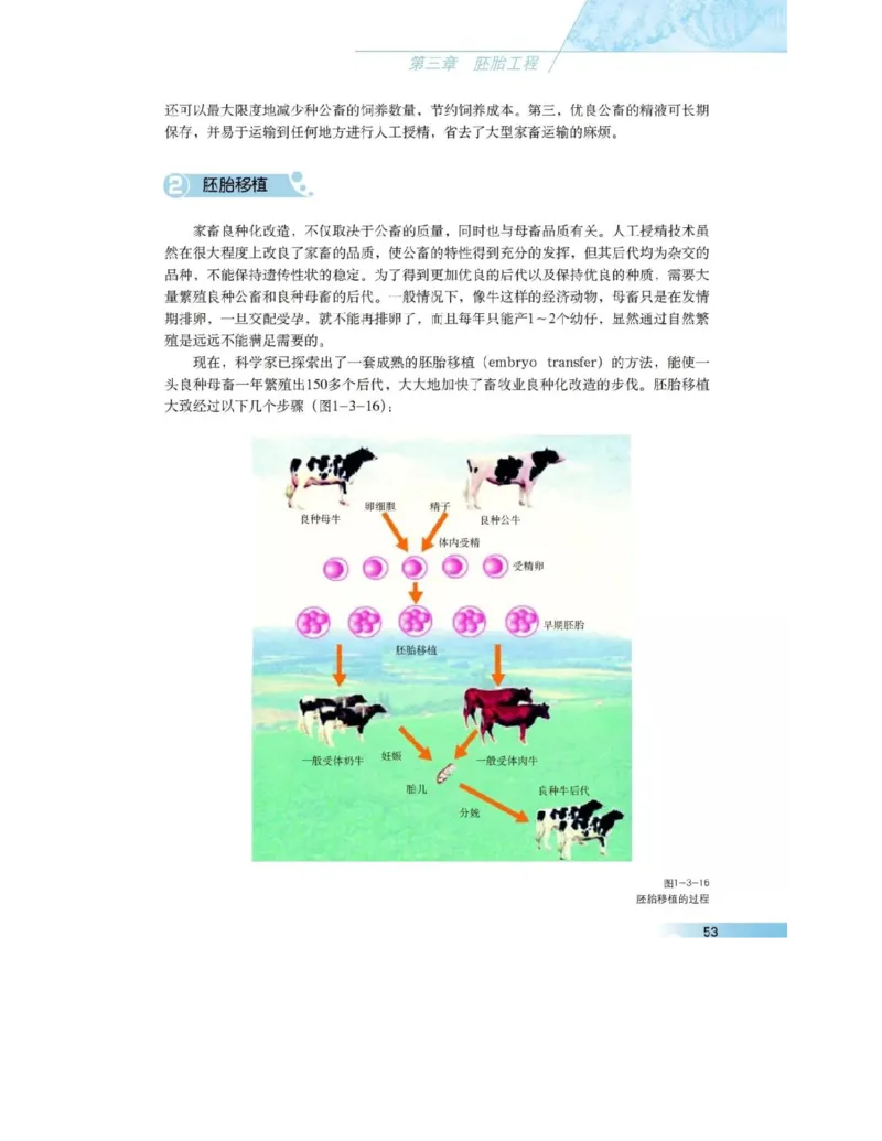 沪科版高中生物选修3《现代生物科技专题》电子课本_4-教培资料-26年最新资料-同步更新_初中高中教资_03科三专项（进去保存报考的学科即可）_112025高中科目（全）电子教材