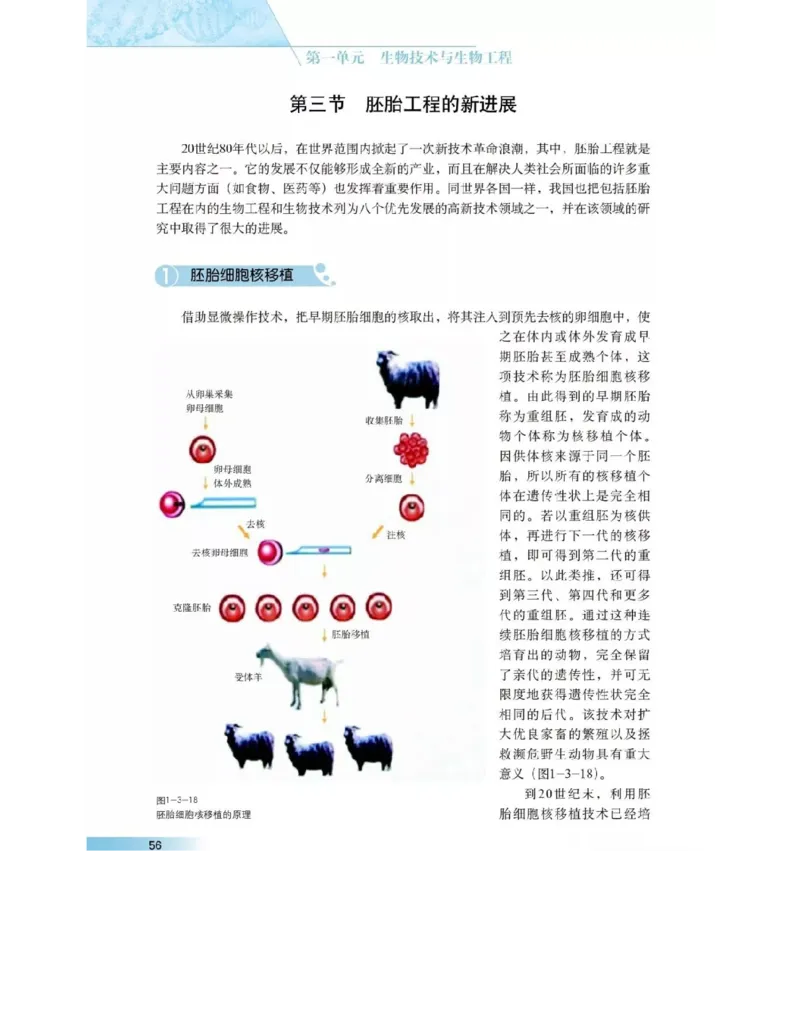 沪科版高中生物选修3《现代生物科技专题》电子课本_4-教培资料-26年最新资料-同步更新_初中高中教资_03科三专项（进去保存报考的学科即可）_112025高中科目（全）电子教材