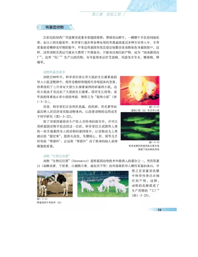 沪科版高中生物选修3《现代生物科技专题》电子课本_4-教培资料-26年最新资料-同步更新_初中高中教资_03科三专项（进去保存报考的学科即可）_112025高中科目（全）电子教材