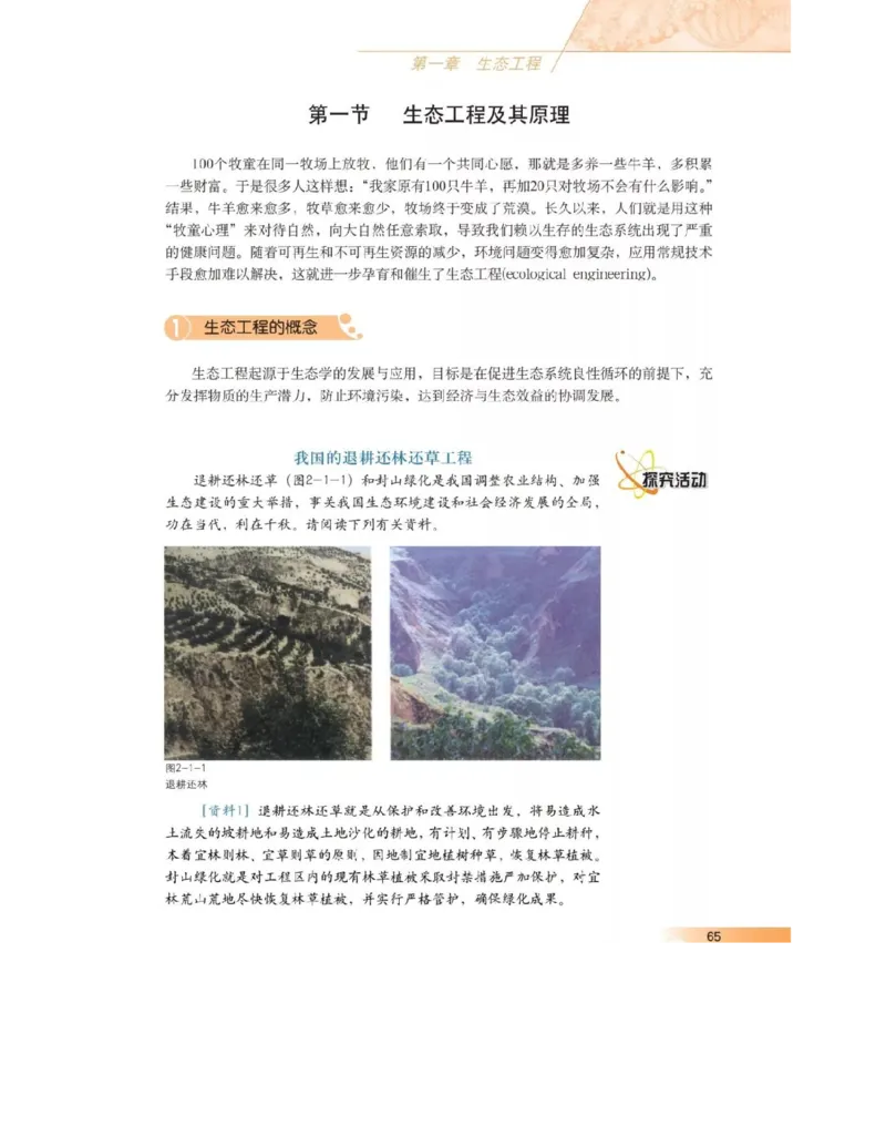 沪科版高中生物选修3《现代生物科技专题》电子课本_4-教培资料-26年最新资料-同步更新_初中高中教资_03科三专项（进去保存报考的学科即可）_112025高中科目（全）电子教材