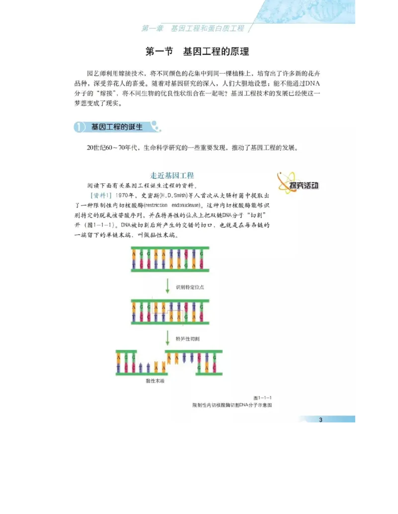 沪科版高中生物选修3《现代生物科技专题》电子课本_4-教培资料-26年最新资料-同步更新_初中高中教资_03科三专项（进去保存报考的学科即可）_112025高中科目（全）电子教材