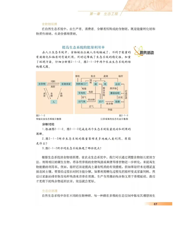 沪科版高中生物选修3《现代生物科技专题》电子课本_4-教培资料-26年最新资料-同步更新_初中高中教资_03科三专项（进去保存报考的学科即可）_112025高中科目（全）电子教材