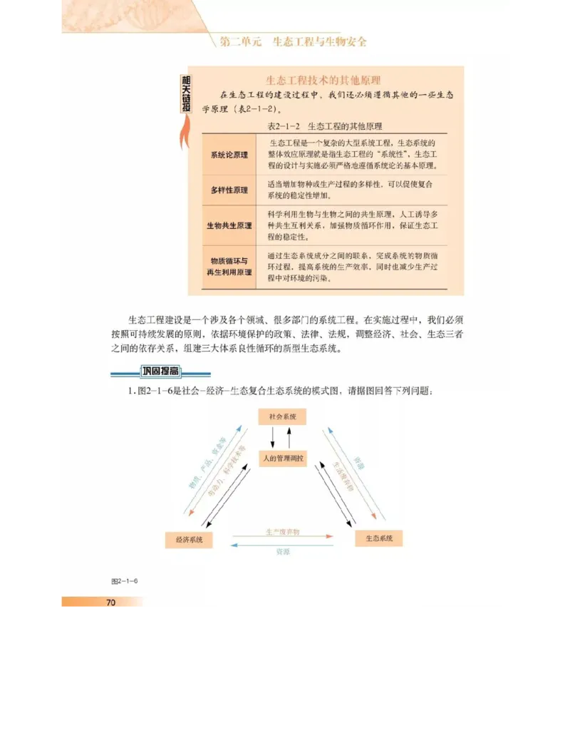 沪科版高中生物选修3《现代生物科技专题》电子课本_4-教培资料-26年最新资料-同步更新_初中高中教资_03科三专项（进去保存报考的学科即可）_112025高中科目（全）电子教材