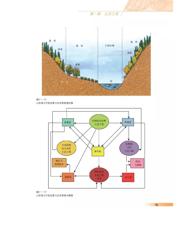 沪科版高中生物选修3《现代生物科技专题》电子课本_4-教培资料-26年最新资料-同步更新_初中高中教资_03科三专项（进去保存报考的学科即可）_112025高中科目（全）电子教材