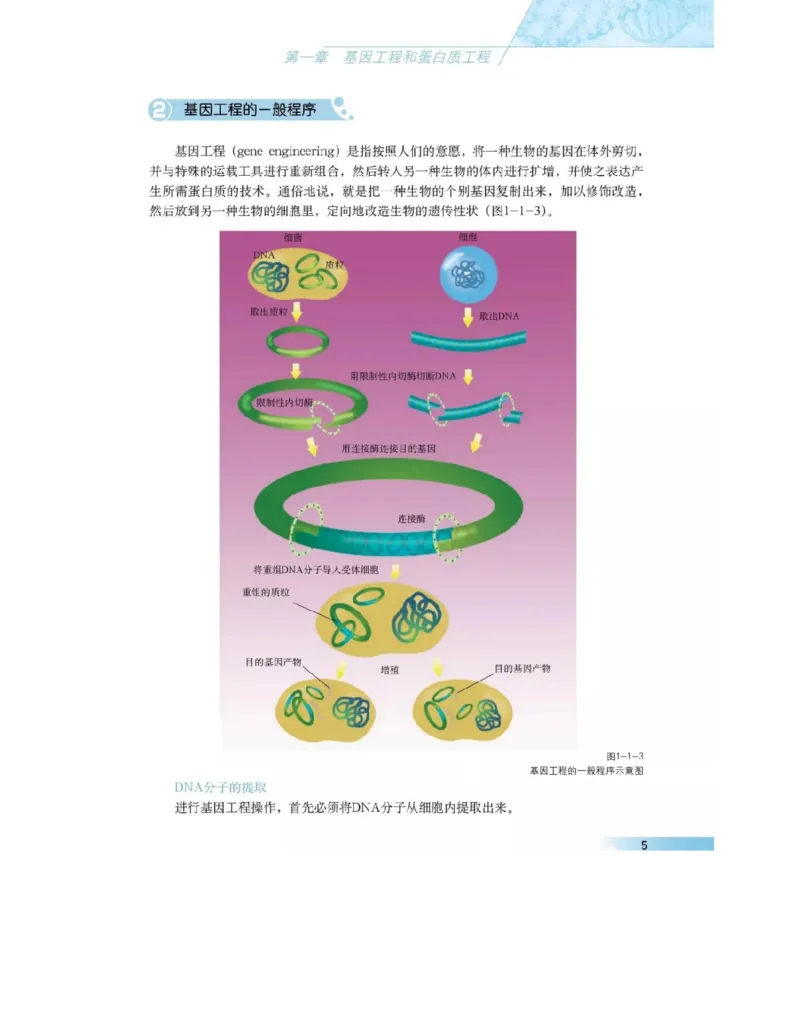 沪科版高中生物选修3《现代生物科技专题》电子课本_4-教培资料-26年最新资料-同步更新_初中高中教资_03科三专项（进去保存报考的学科即可）_112025高中科目（全）电子教材