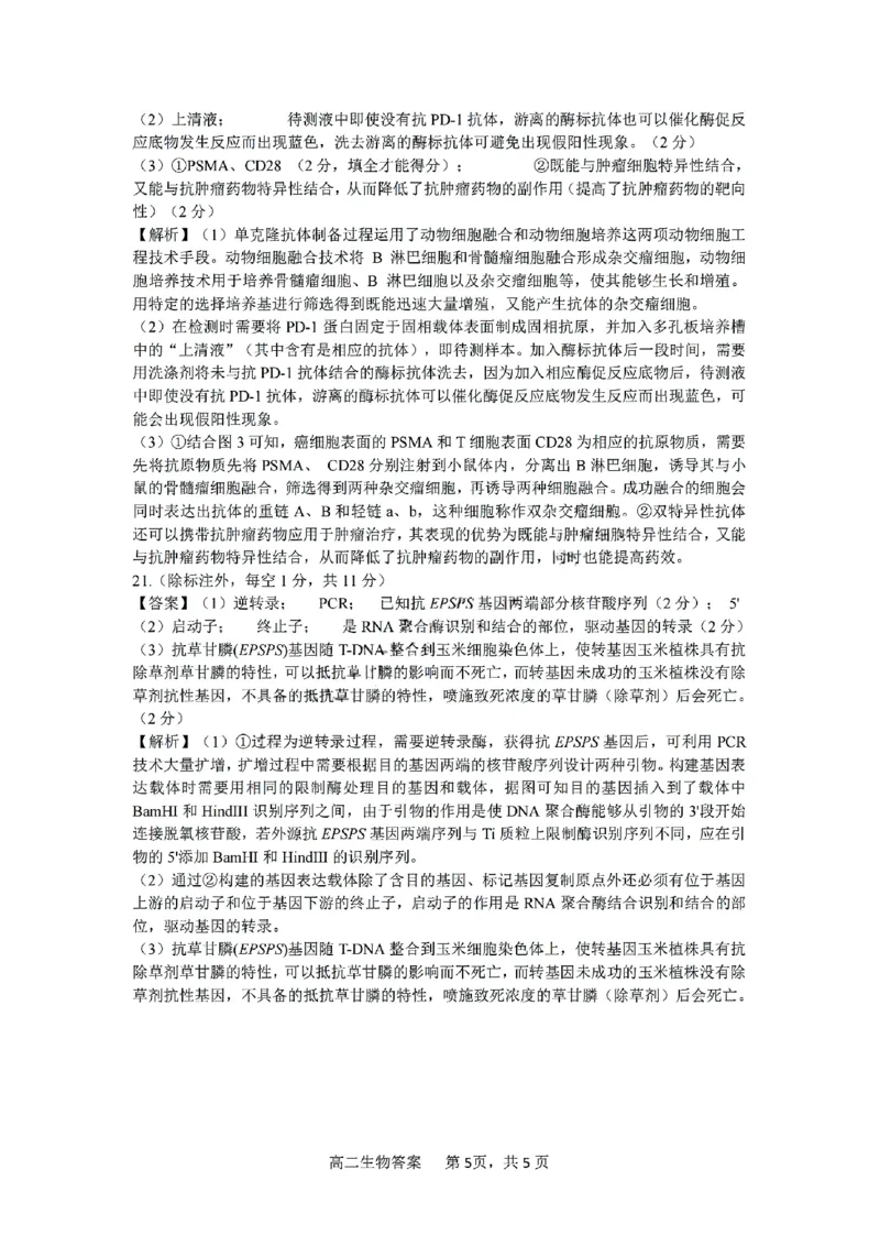 河南省驻马店市2024-2025学年高二下学期期末质量检测生物试题（含答案）_2025年7月_250721河南省驻马店市2024~2025学年度高二第二学期期末质量监测（全科）