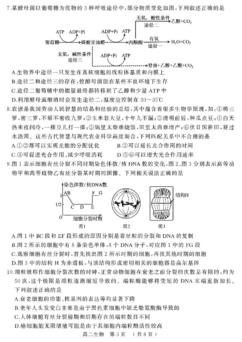 河南省驻马店市2024-2025学年高二下学期期末质量检测生物试题（含答案）_2025年7月_250721河南省驻马店市2024~2025学年度高二第二学期期末质量监测（全科）