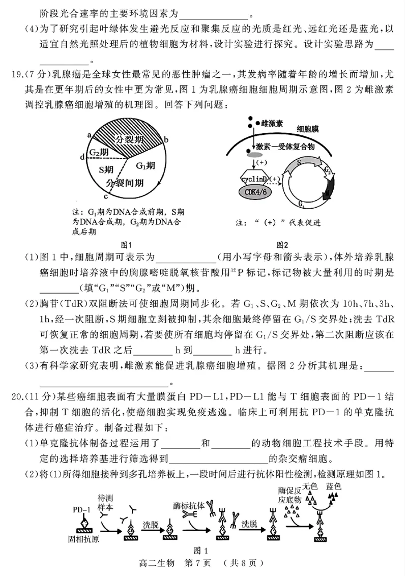 河南省驻马店市2024-2025学年高二下学期期末质量检测生物试题（含答案）_2025年7月_250721河南省驻马店市2024~2025学年度高二第二学期期末质量监测（全科）