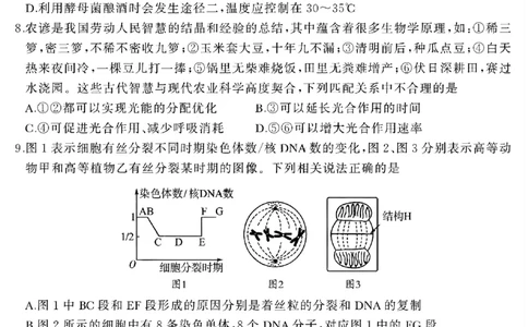 河南省驻马店市2024-2025学年高二下学期期末质量检测生物试题（含答案）_2025年7月_250721河南省驻马店市2024~2025学年度高二第二学期期末质量监测（全科）