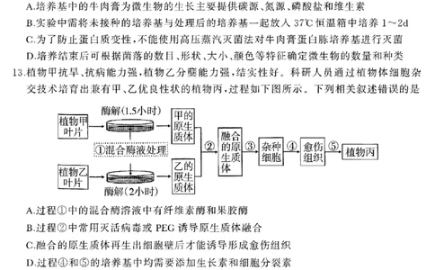 河南省驻马店市2024-2025学年高二下学期期末质量检测生物试题（含答案）_2025年7月_250721河南省驻马店市2024~2025学年度高二第二学期期末质量监测（全科）