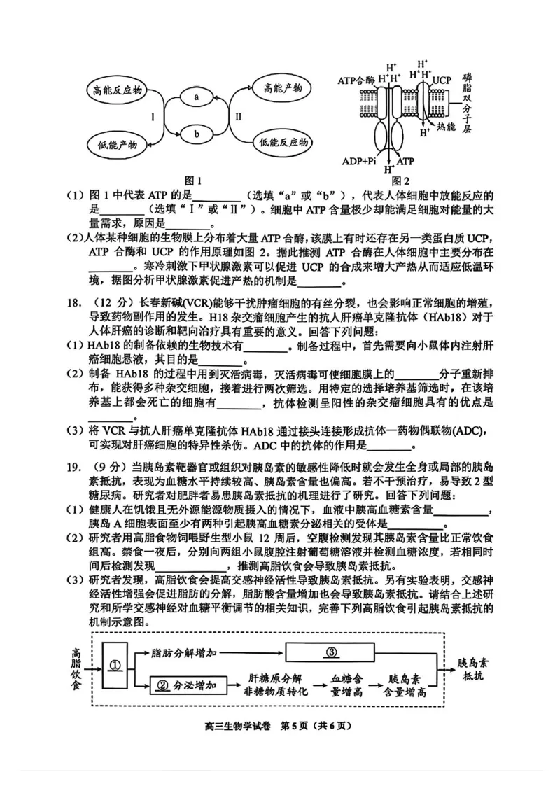 贵州省贵阳市2025-2026学年高三上学期11月质量监测生物试卷（含答案）_2511212026届贵州省贵阳市高三上学期质量监测