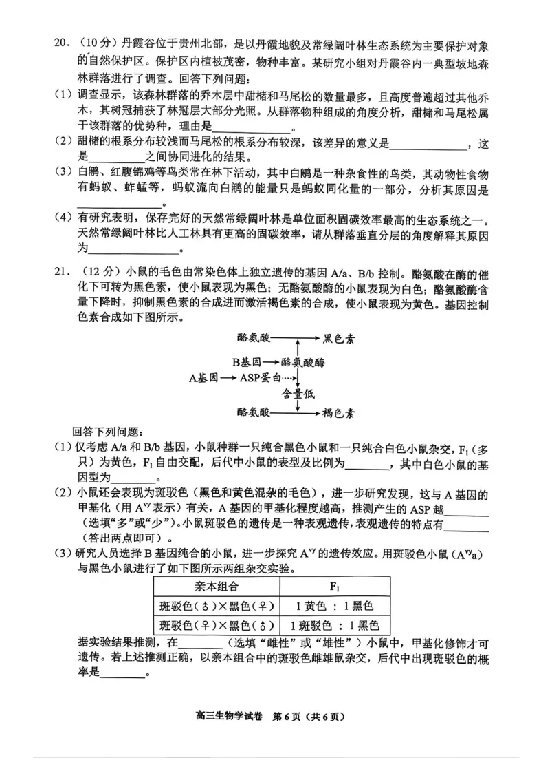 贵州省贵阳市2025-2026学年高三上学期11月质量监测生物试卷（含答案）_2511212026届贵州省贵阳市高三上学期质量监测