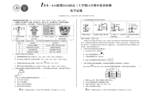 安徽A10联盟26届高三化学11月期中联考试卷_12026年试卷教辅资源等多个文件_251118安徽1号卷&middot;A10联盟2026届高三上学期11月期中质量检测（全科）