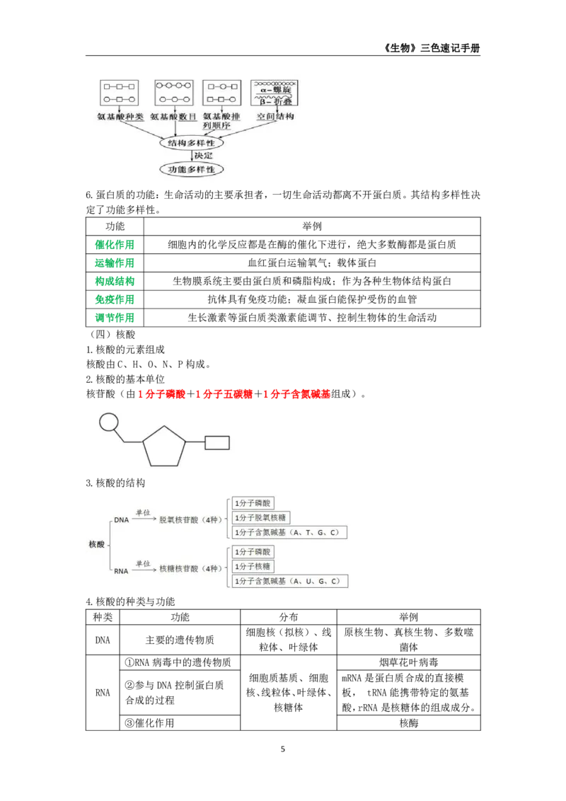 教师资格《（高中）生物》三色速记手册_4-教培资料-26年最新资料-同步更新_初中高中教资_03科三专项（进去保存报考的学科即可）_03科三初高中三色笔记（无水印版）_高中